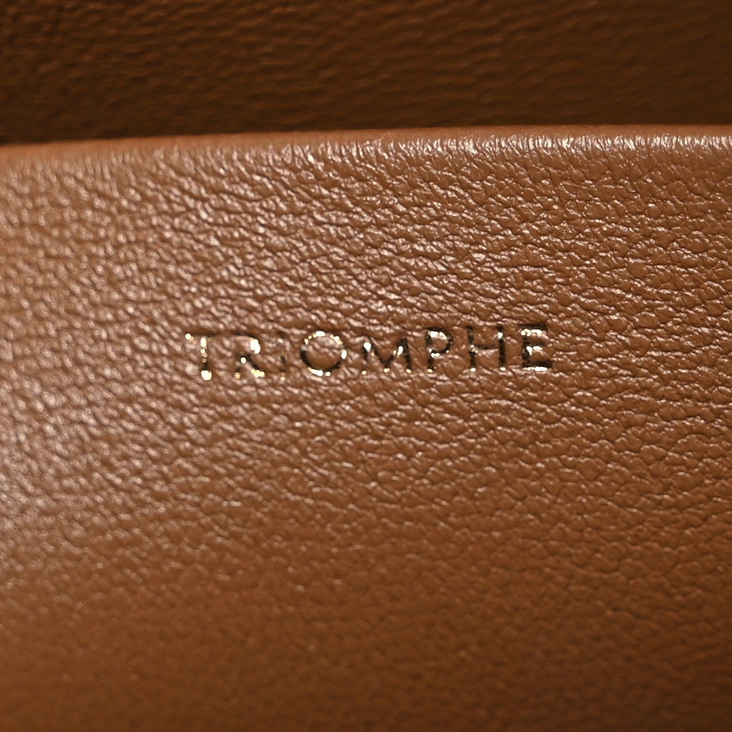 Celine Shiny Calfskin Teen Triomphe Bronze 7 of 14
