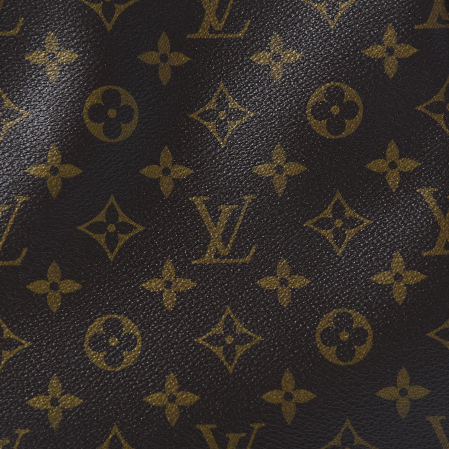 Monogram Totally MM