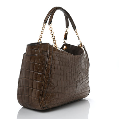 Salvatore Ferragamo Crocodile Betulla Tote Brown 3 of 10