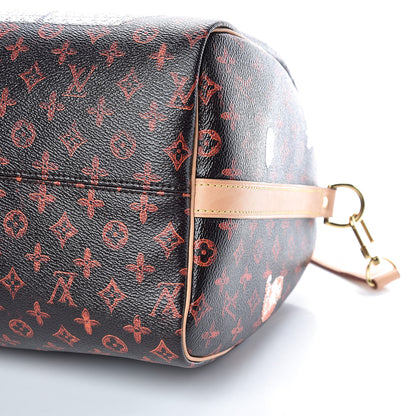Louis Vuitton Catogram Speedy Bandouliere 30 Marron 6 of 16