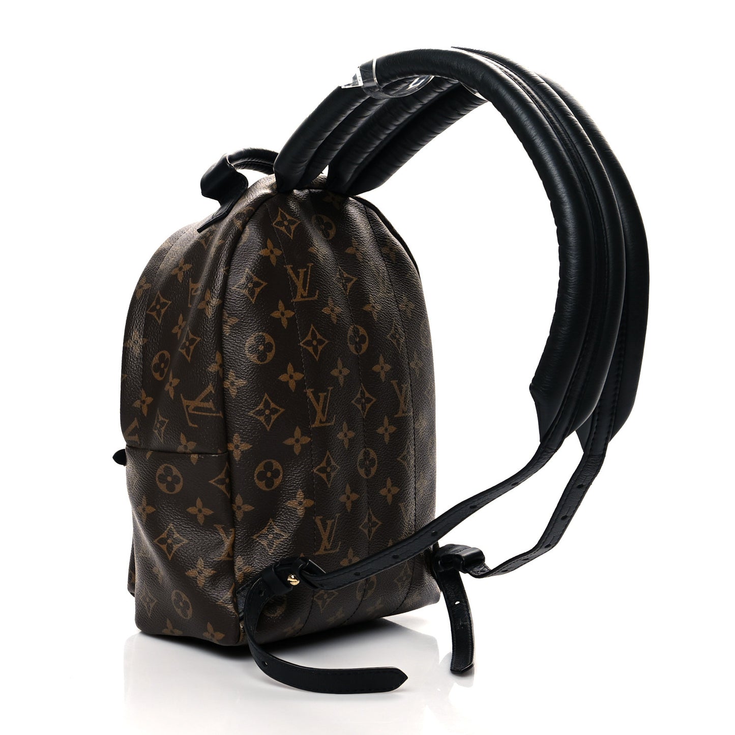 Monogram Palm Springs Backpack PM