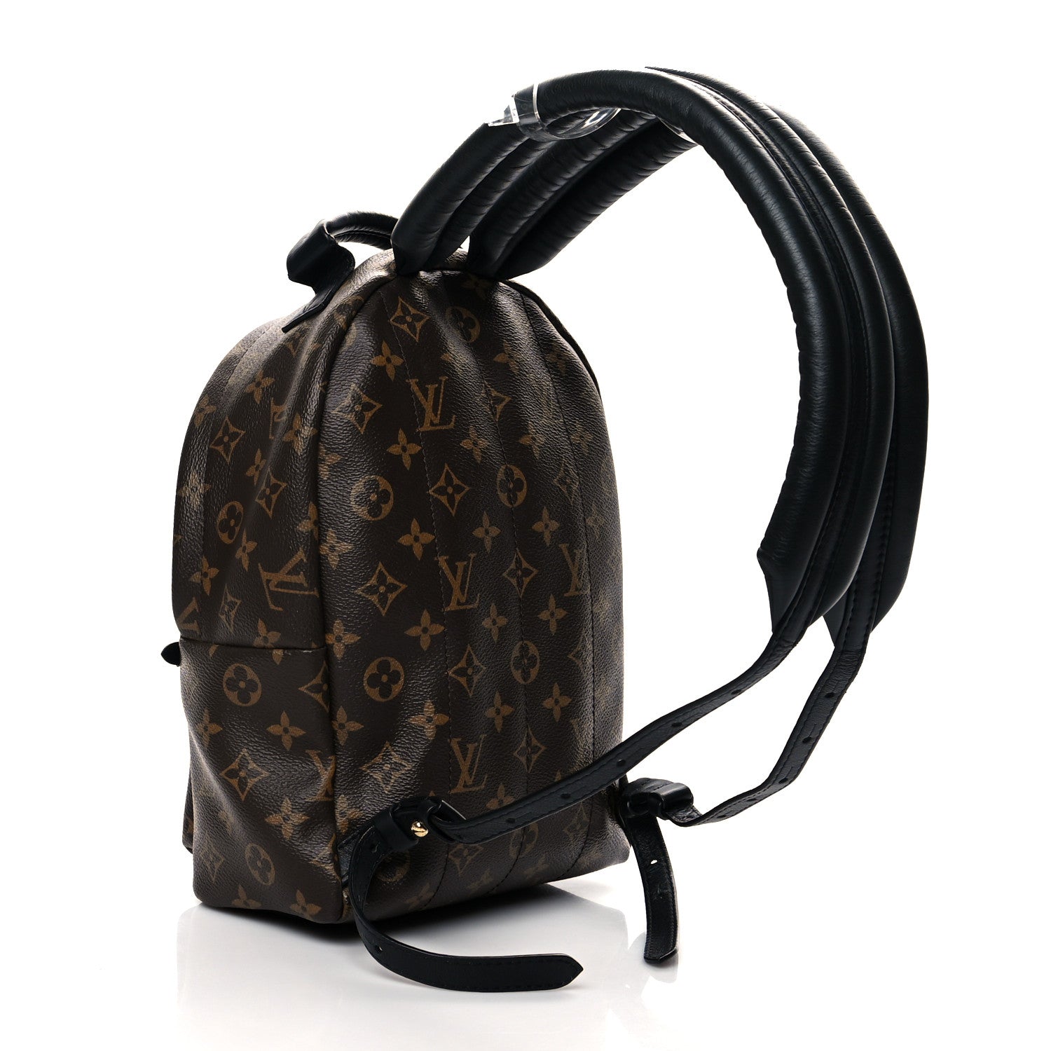 Louis Vuitton Monogram Palm Springs Backpack PM 3 of 9