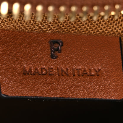 Celine Triomphe Canvas Small Camera Bag Tan 6 of 10