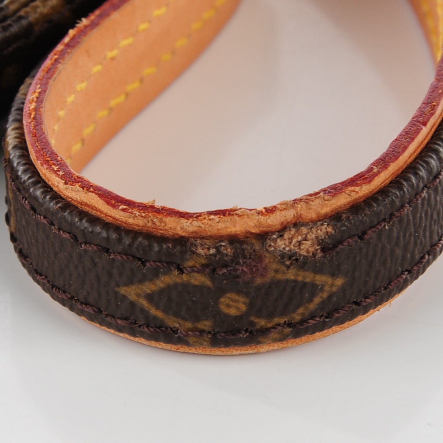 Monogram Baxter Dog Leash MM