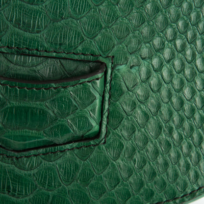 Celine Python Small Trotteur Dark Green 7 of 7
