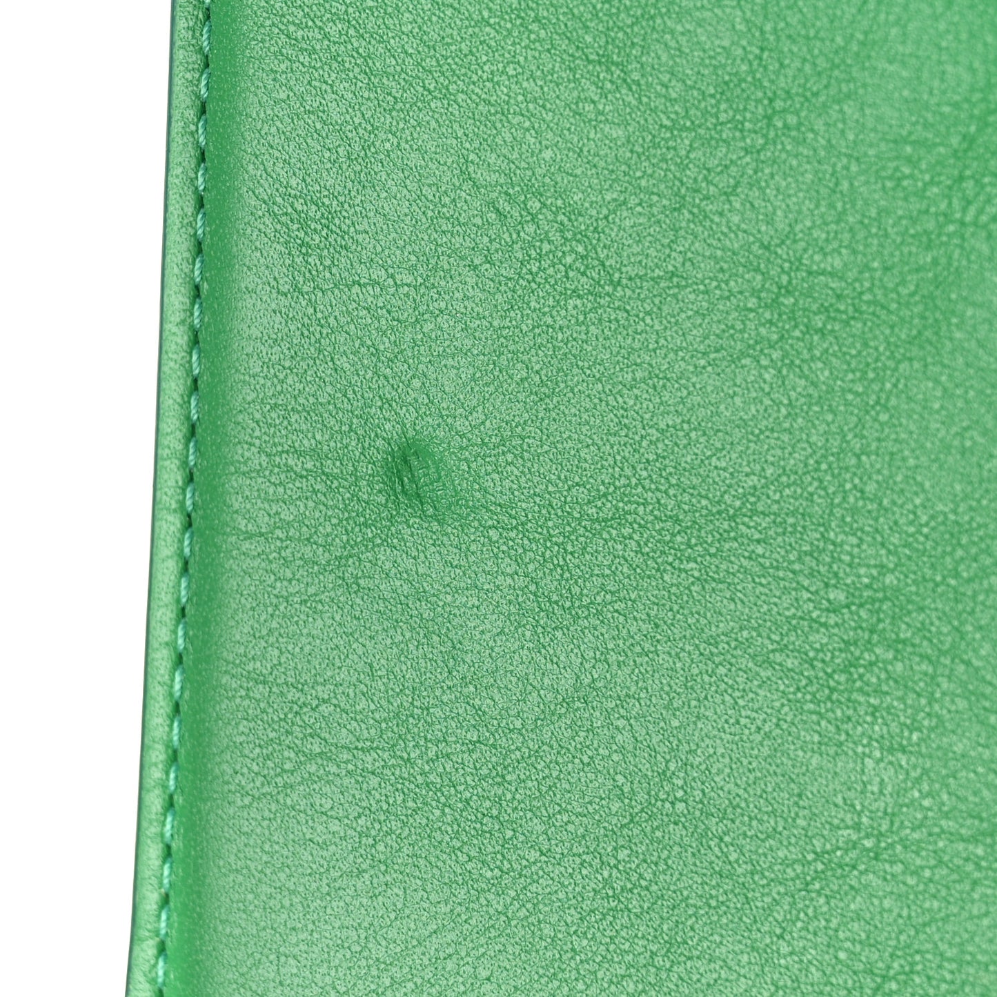 Smooth Calfskin Le Chiquito Moyen Green