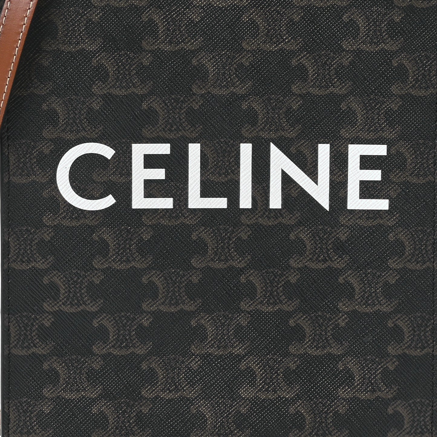 Triomphe Canvas Calfskin Mini Vertical Cabas Tan