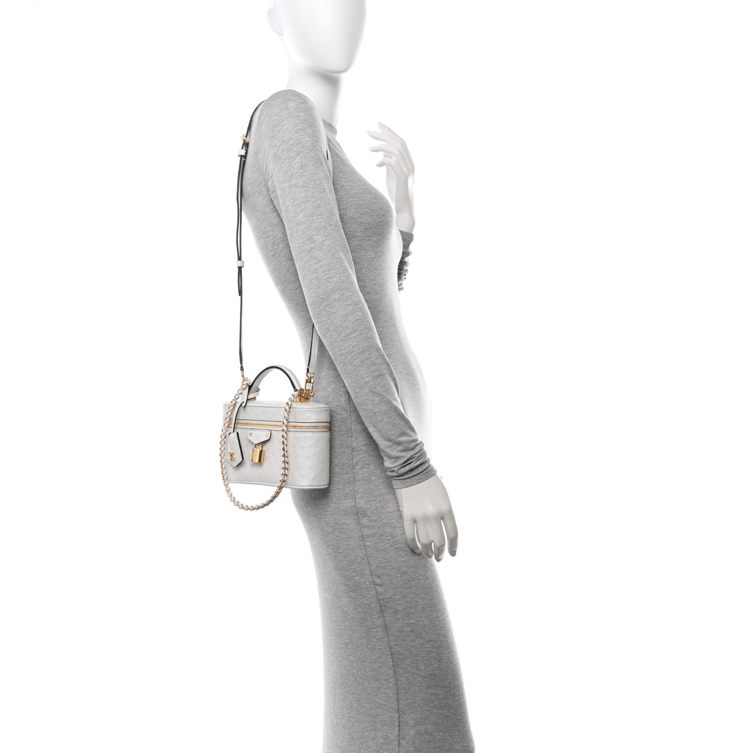 Louis Vuitton Ostrich Vanity Chain Pouch 2 of 9