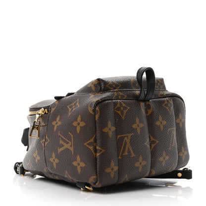 Louis Vuitton Monogram Palm Springs Backpack Mini 6 of 19