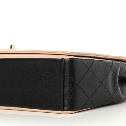 Chanel Sheepskin Quilted Vintage Mademoiselle Flap Beige Black 10 of 10