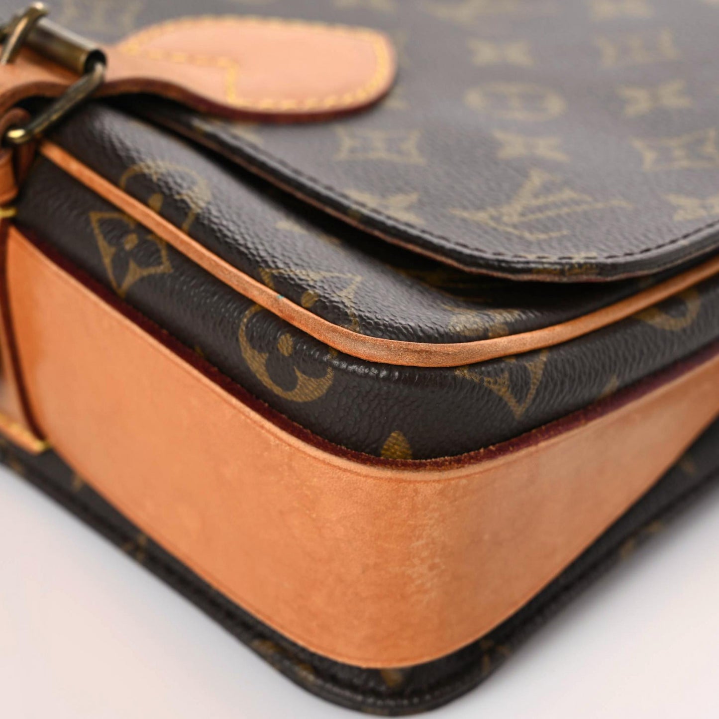 Monogram Cartouchiere 22