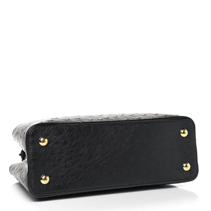 Louis Vuitton Ostrich Capucines MM Black 3 of 9