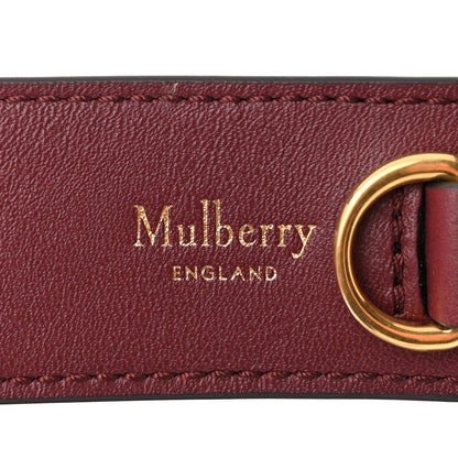 Mulberry Calfskin Canvas Print Small Iris Tote Crimson 6 of 11