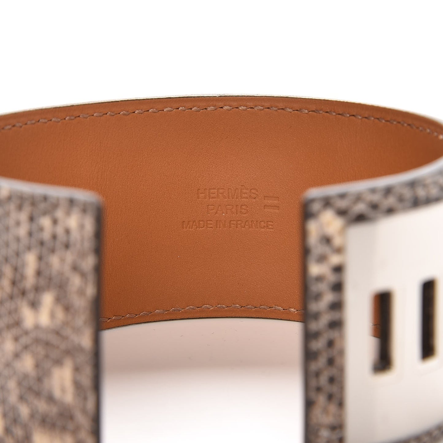 Lizard Collier De Chien CDC Bracelet S Ombre