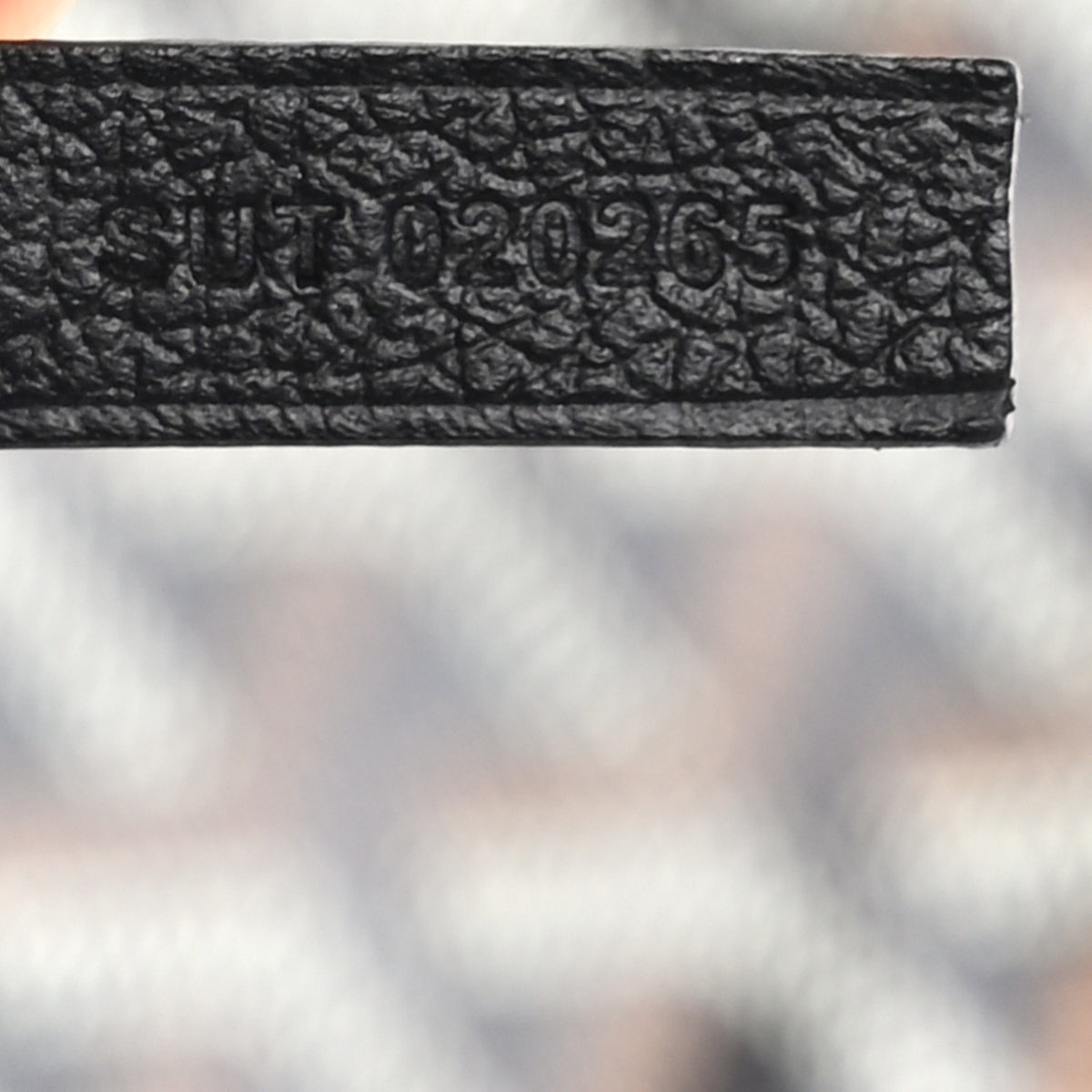 Goyard Goyardine Saint Louis GM Black 7 of 11