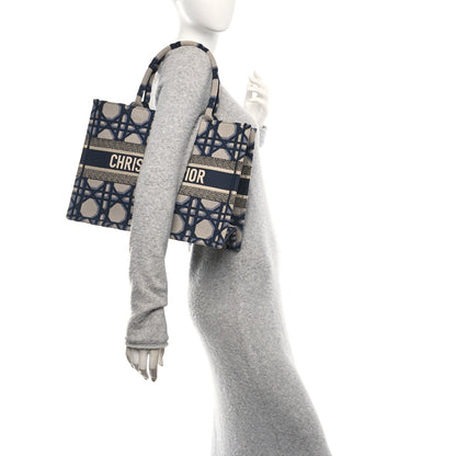 Christian Dior Canvas Macrocannage Embroidered Medium Book Tote Beige Blue 2 of 10