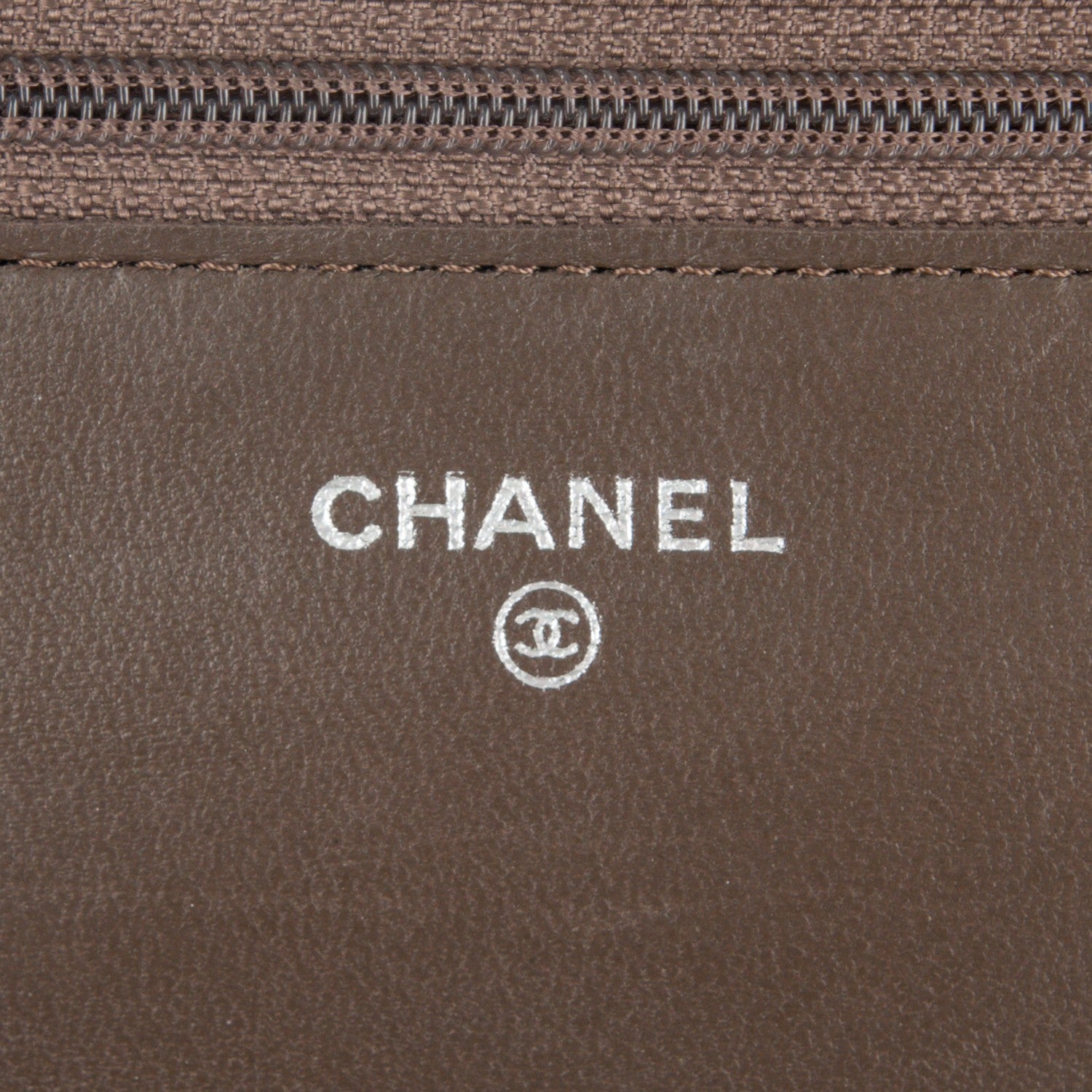Chanel Metallic Python Wallet On Chain WOC Bronze 6 of 8