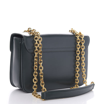 Celine Shiny Calfskin Medium C Bag Amazone 3 of 10
