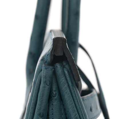 Hermes Ostrich Birkin 30 Cobalt 11 of 12