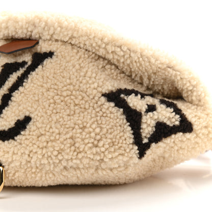 Louis Vuitton Monogram Teddy Bumbag 8 of 8