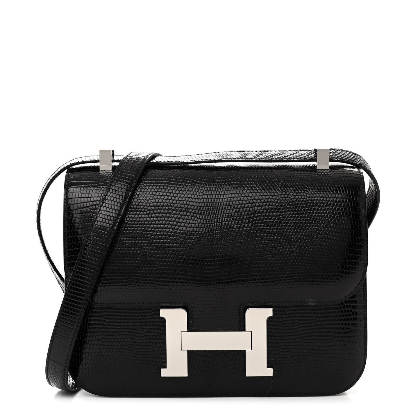 Lizard Constance 1-24 Black