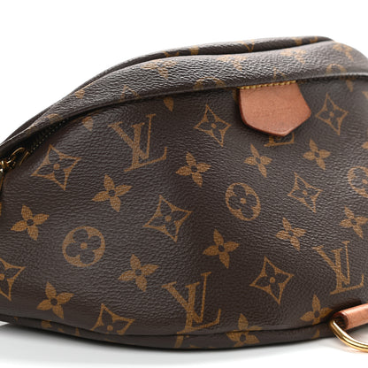 Louis Vuitton Monogram Bumbag 8 of 12