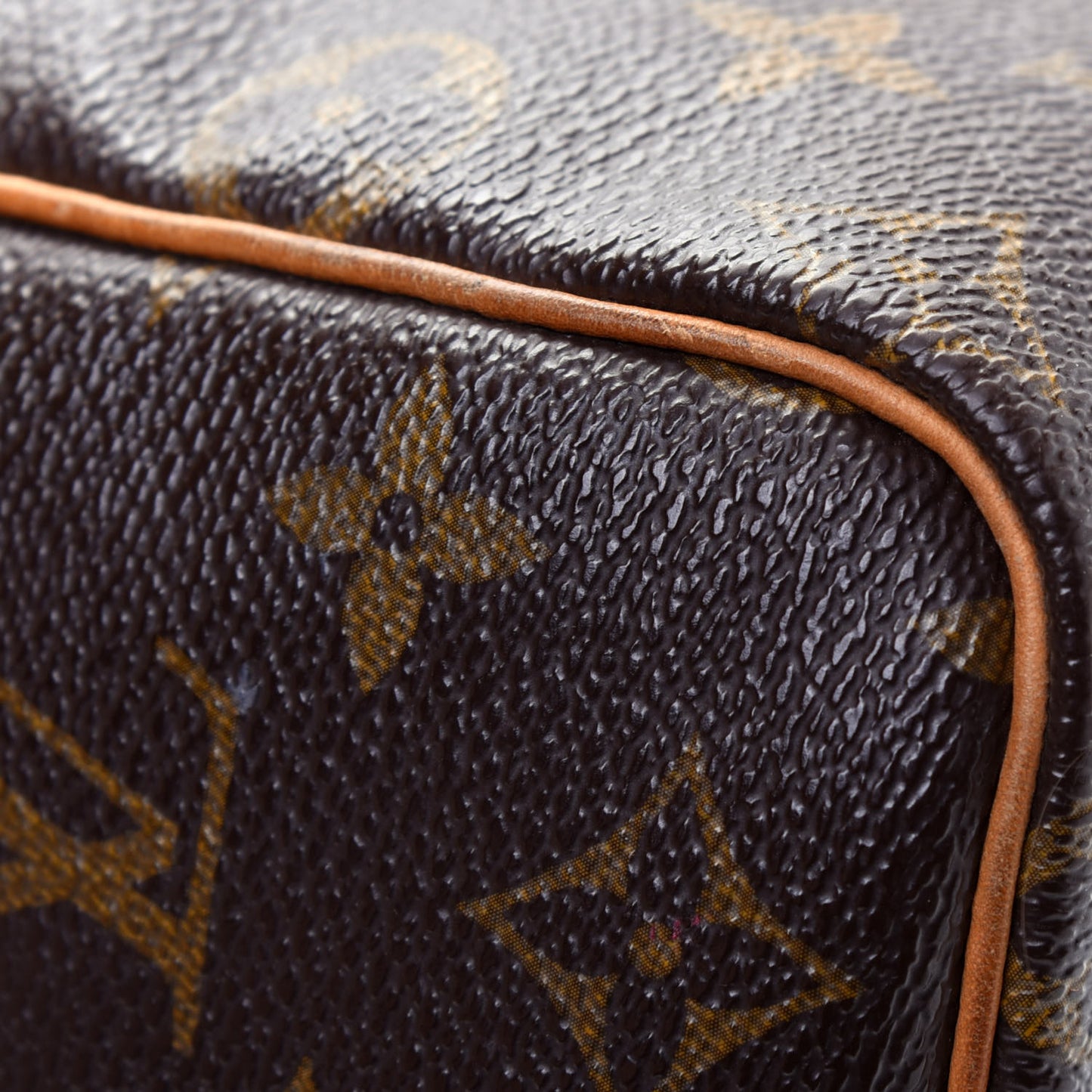 Monogram Speedy Bandouliere 25