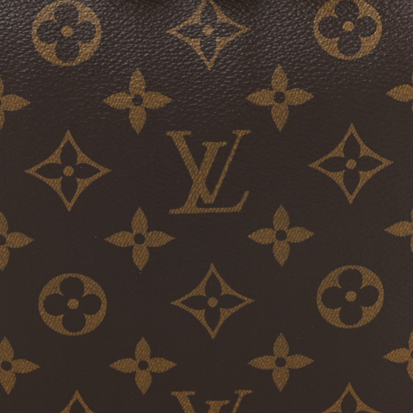 Reverse Monogram Loop Hobo