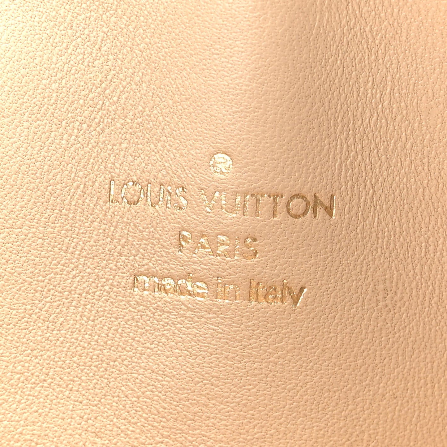 Monogram Speedy Amazon PM White Chocolat