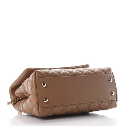 Chanel Caviar Quilted Lizard Embossed Mini Coco Handle Flap Brown 4 of 9