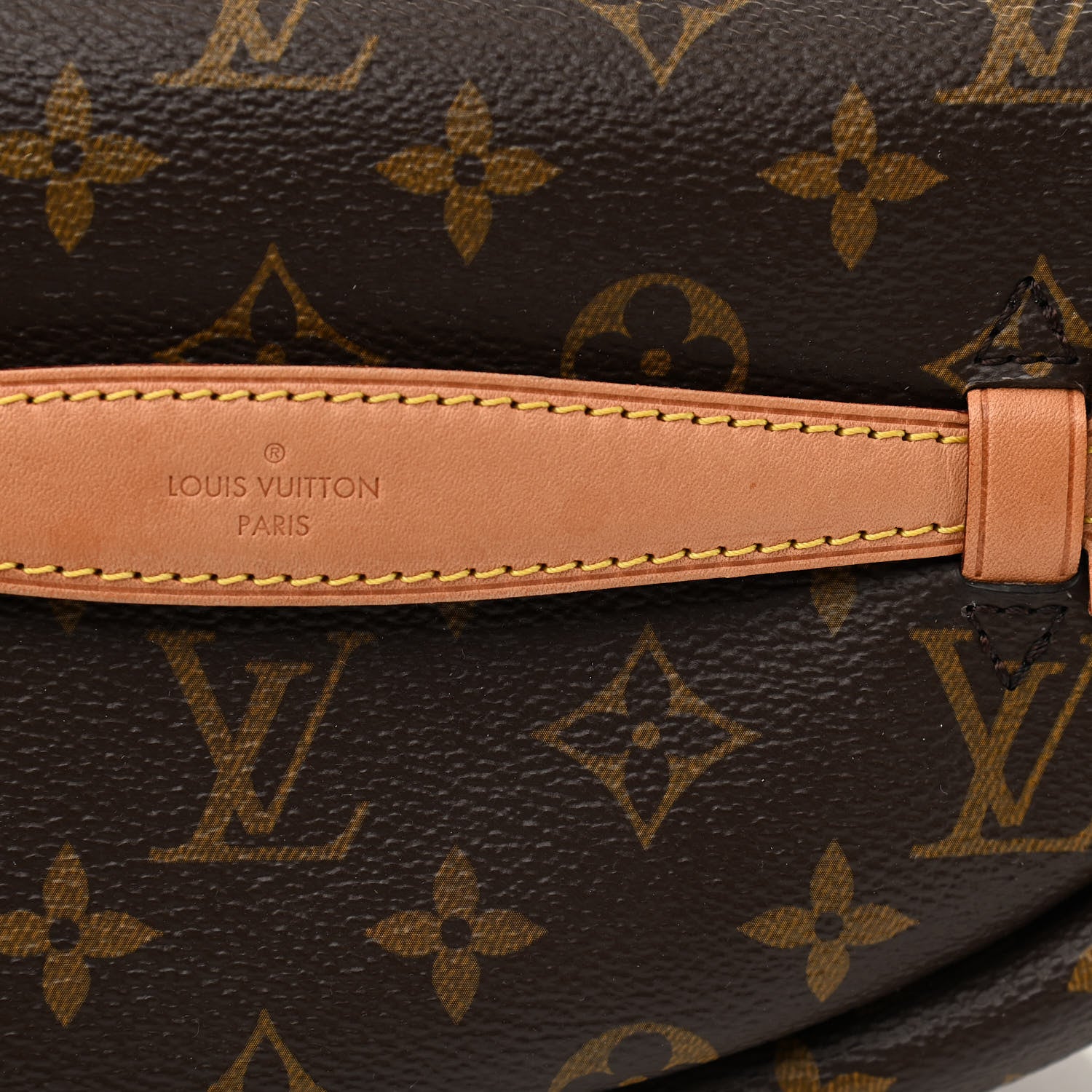 Louis Vuitton Monogram Bumbag 10 of 11