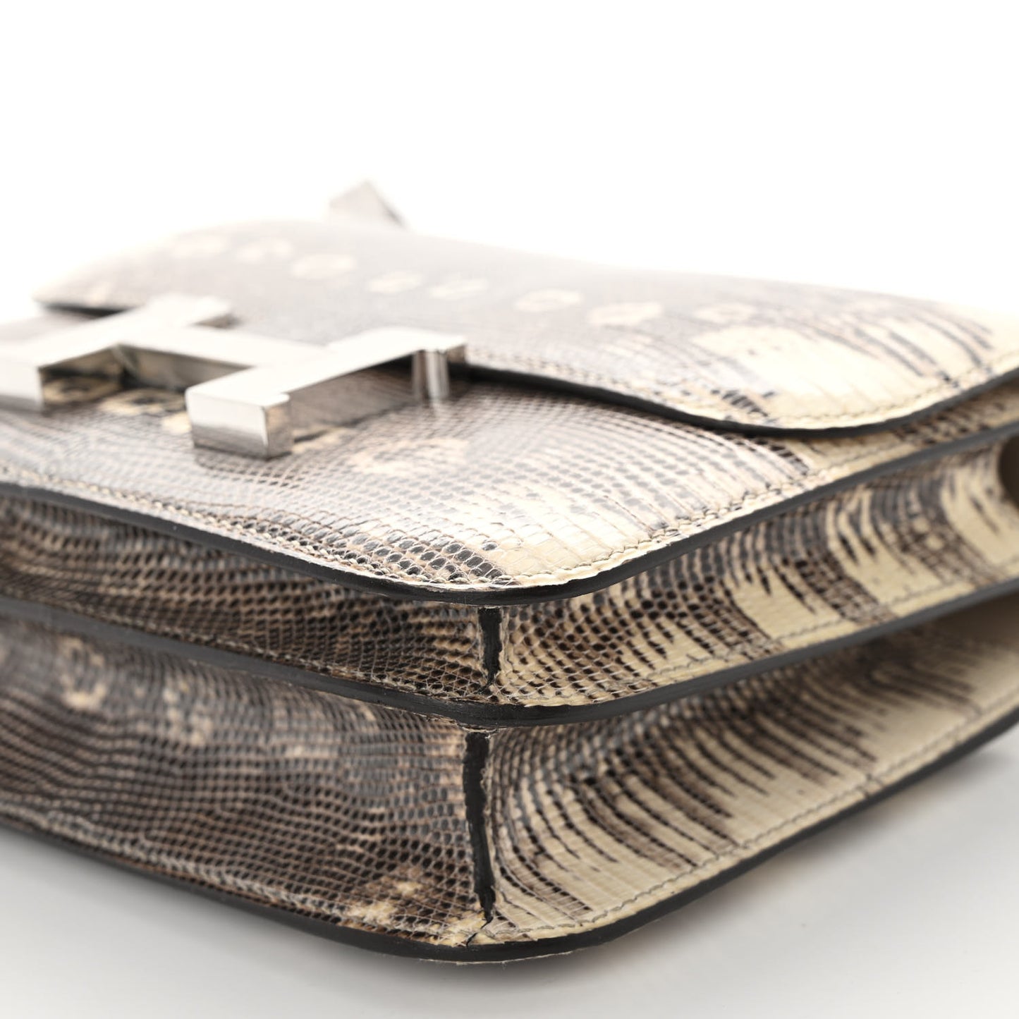 Lizard Constance 18 Ombre