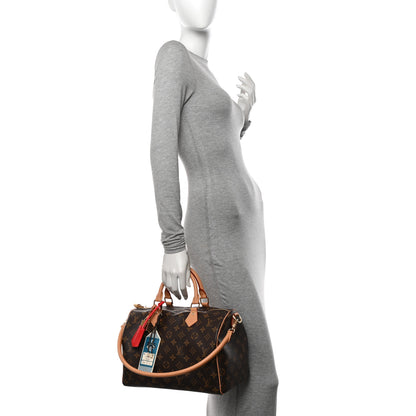 Louis Vuitton Monogram Speedy Soft Crafty 30 2 of 9