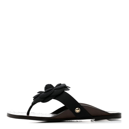 Chanel Grosgrain Camellia Thong Sandals 35 Black 1 of 8