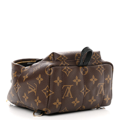 Louis Vuitton Monogram Palm Springs Backpack Mini 4 of 11