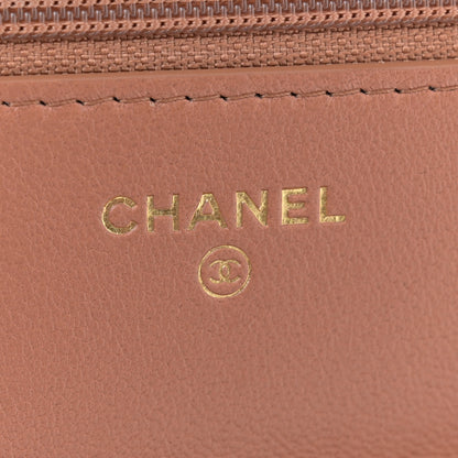 Chanel Lambskin Quilted Chanel 19 Wallet On Chain WOC Brown 6 of 12