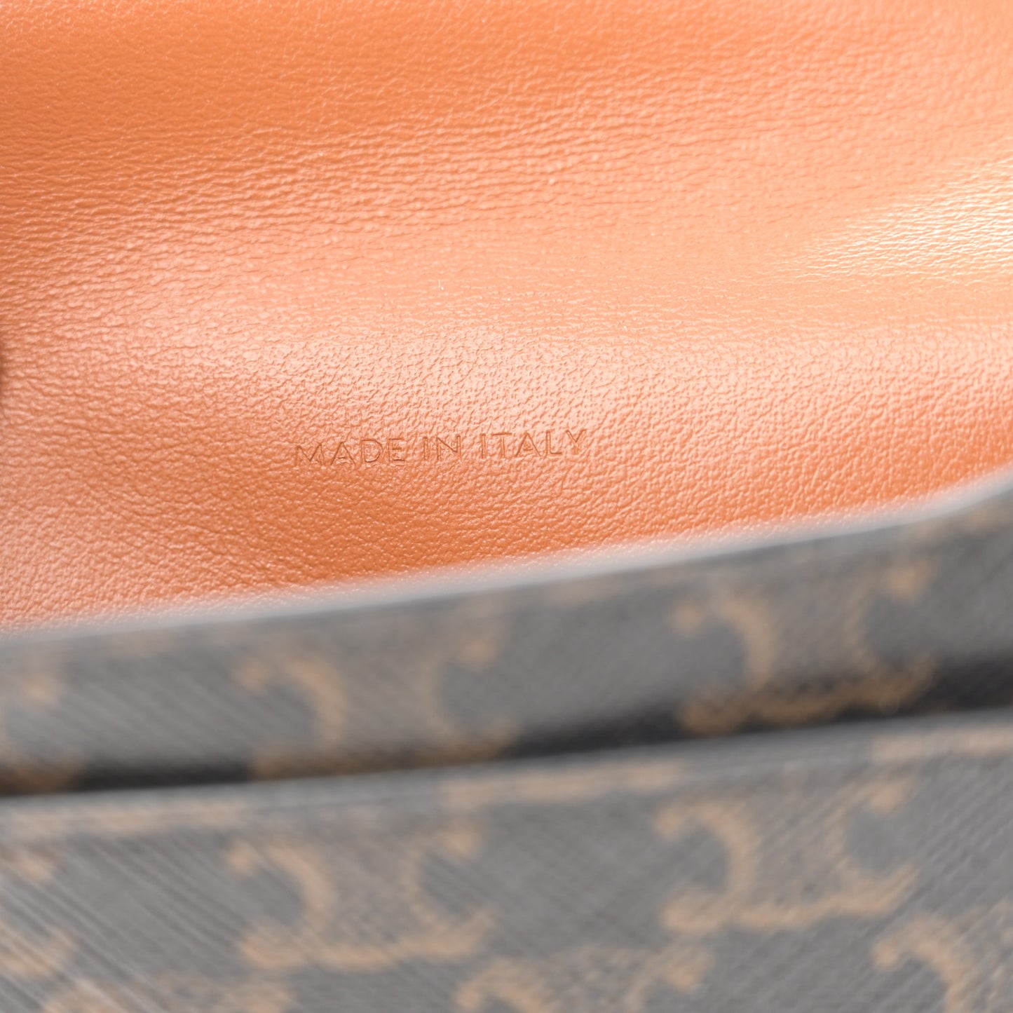 Triomphe Canvas Lambskin Phone Pouch With Flap Tan