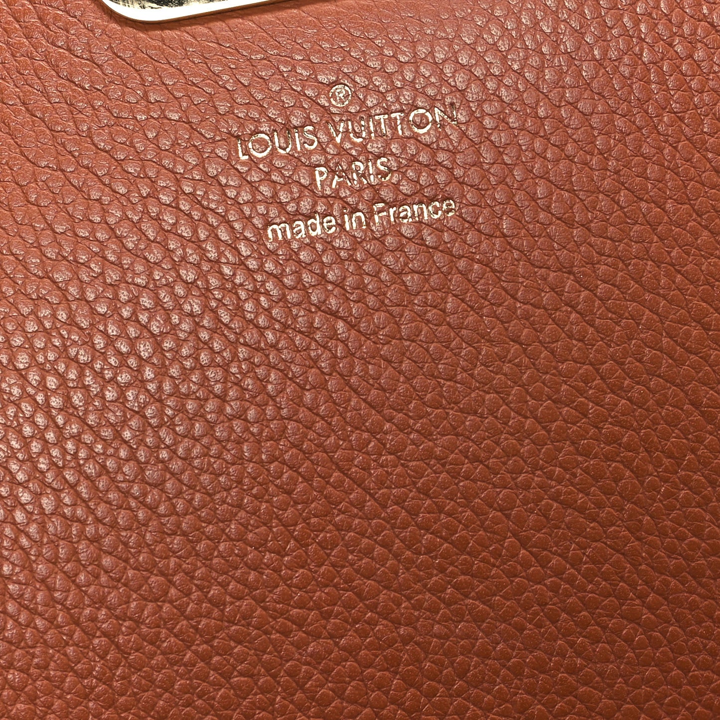 Monogram Eden MM Camel