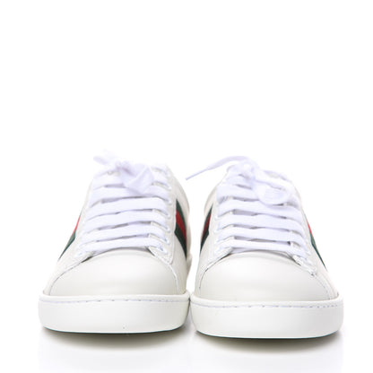 Gucci Calfskin Ayers Bee Embroidered Womens Ace Sneakers 36.5 White Green 2 of 10