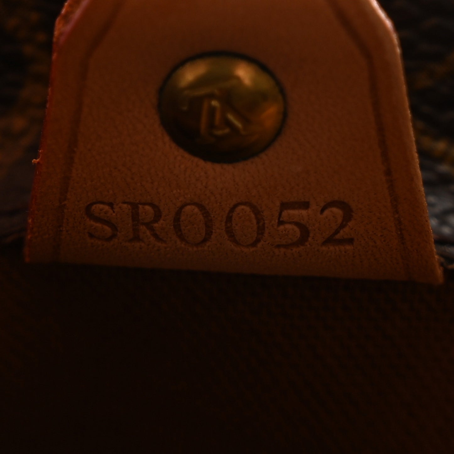 Monogram Vavin PM