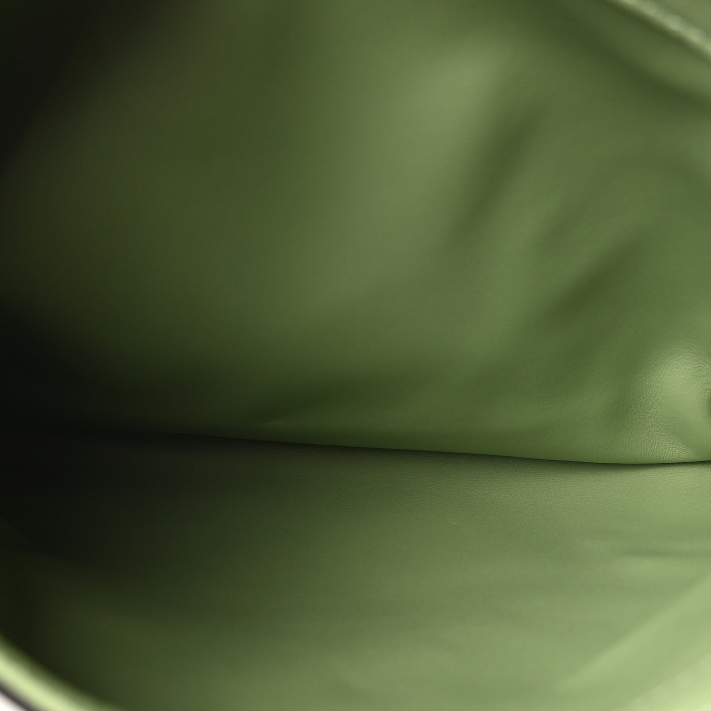 Roxy Calfskin Web Medium Blondie Top Handle Shoulder Flap Bag Salamander Green