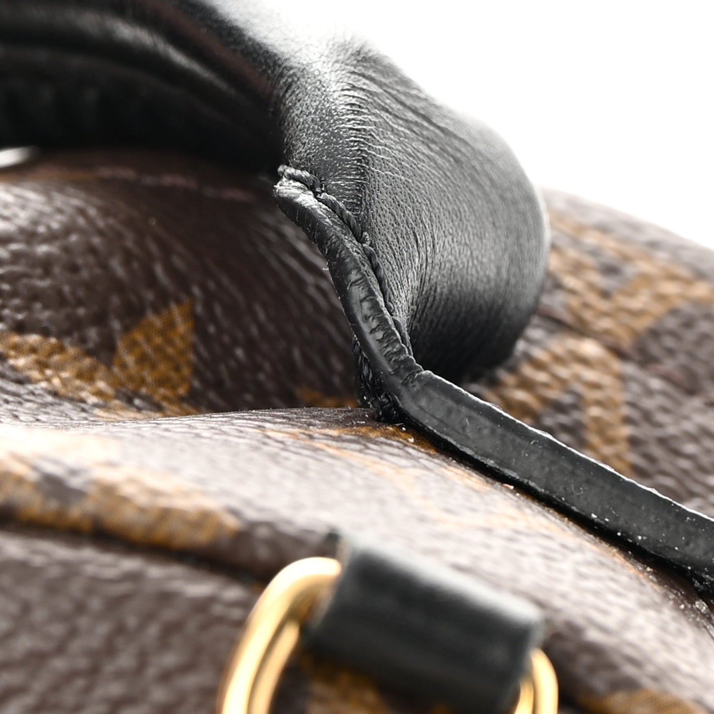 Monogram Palm Springs Backpack Mini