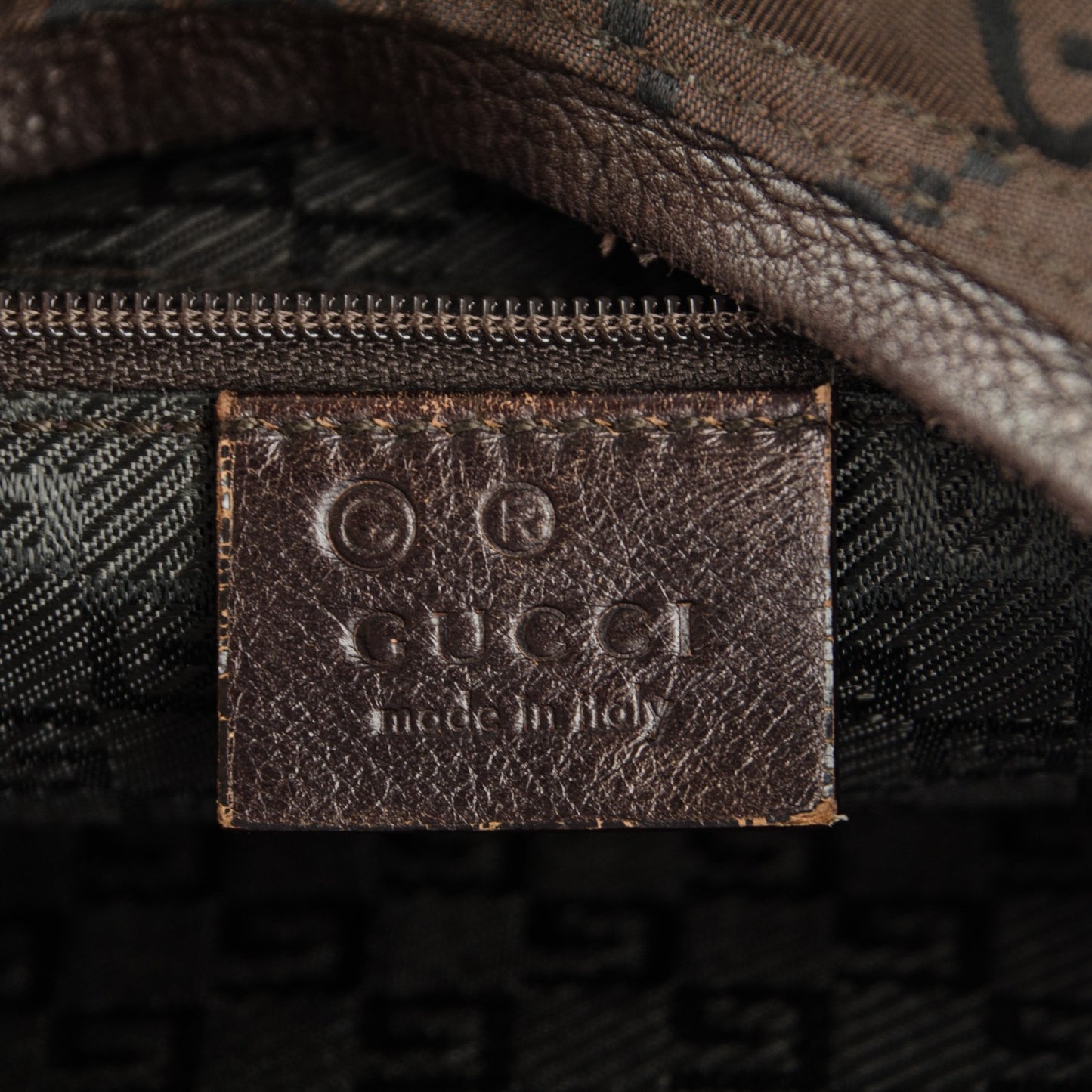 Nylon Monogram Large Hobo Brown