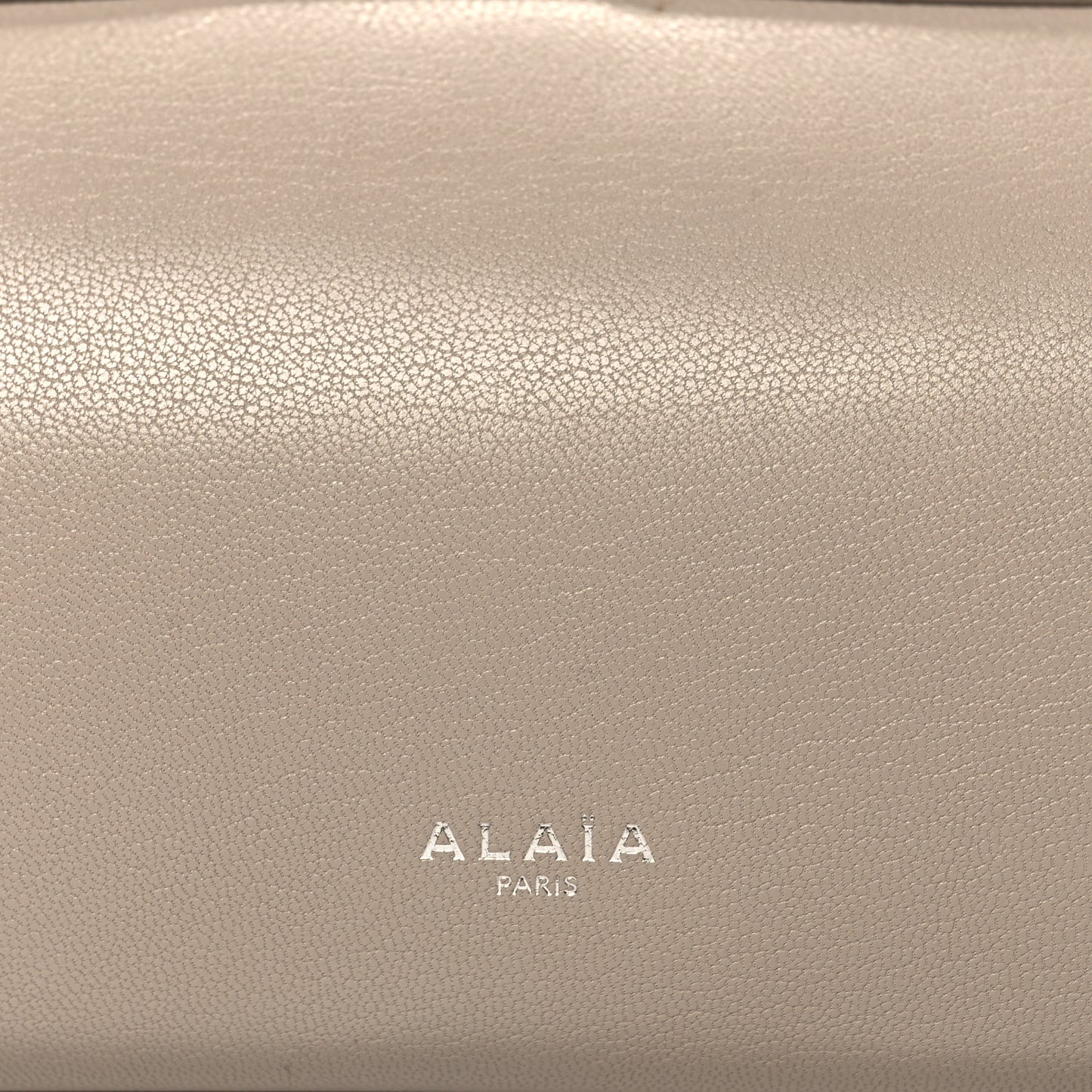 Shiny Goatskin Medium Le Teckel Bag Grege