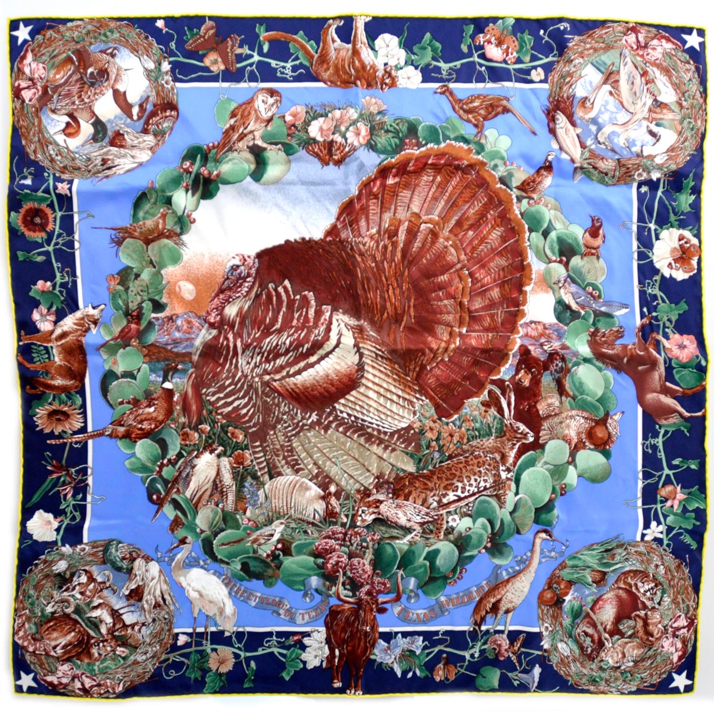 Silk Faune et Flore du Texas Scarf 70