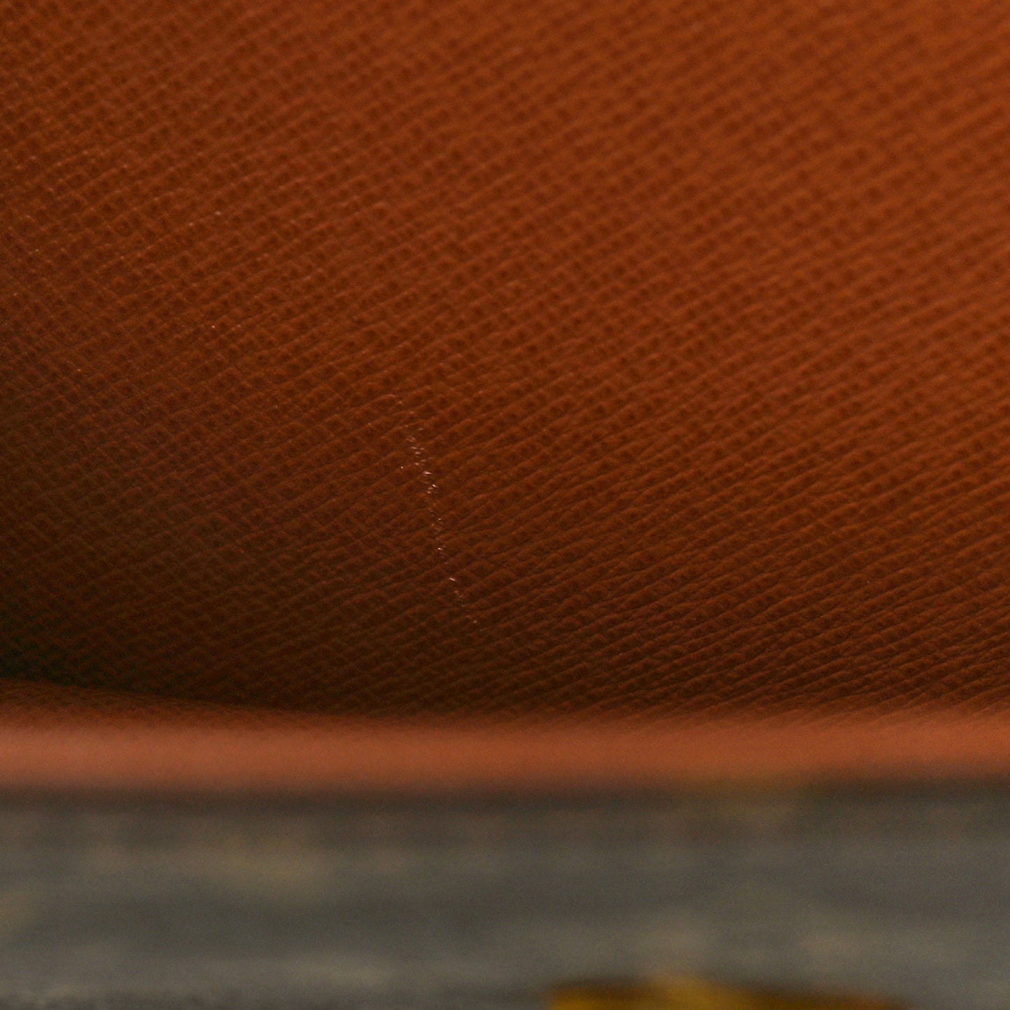 Monogram Pochette Dame 29