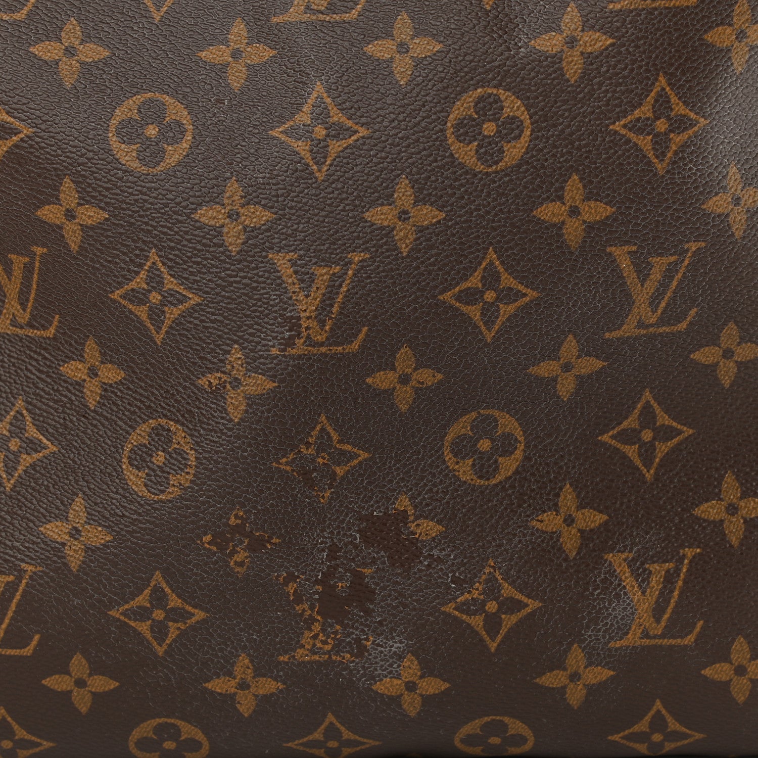 Louis Vuitton Monogram Delightful MM Pivoine 13 of 13