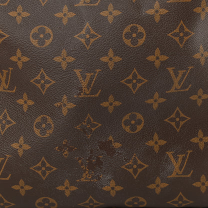 Louis Vuitton Monogram Delightful MM Pivoine 13 of 13