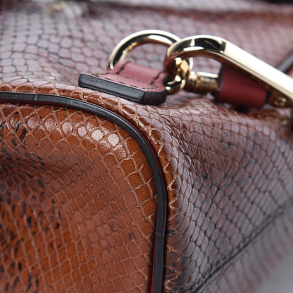 Chloe Calfskin Watersnake Embossed Mini Faye Backpack Sepia Brown 13 of 14