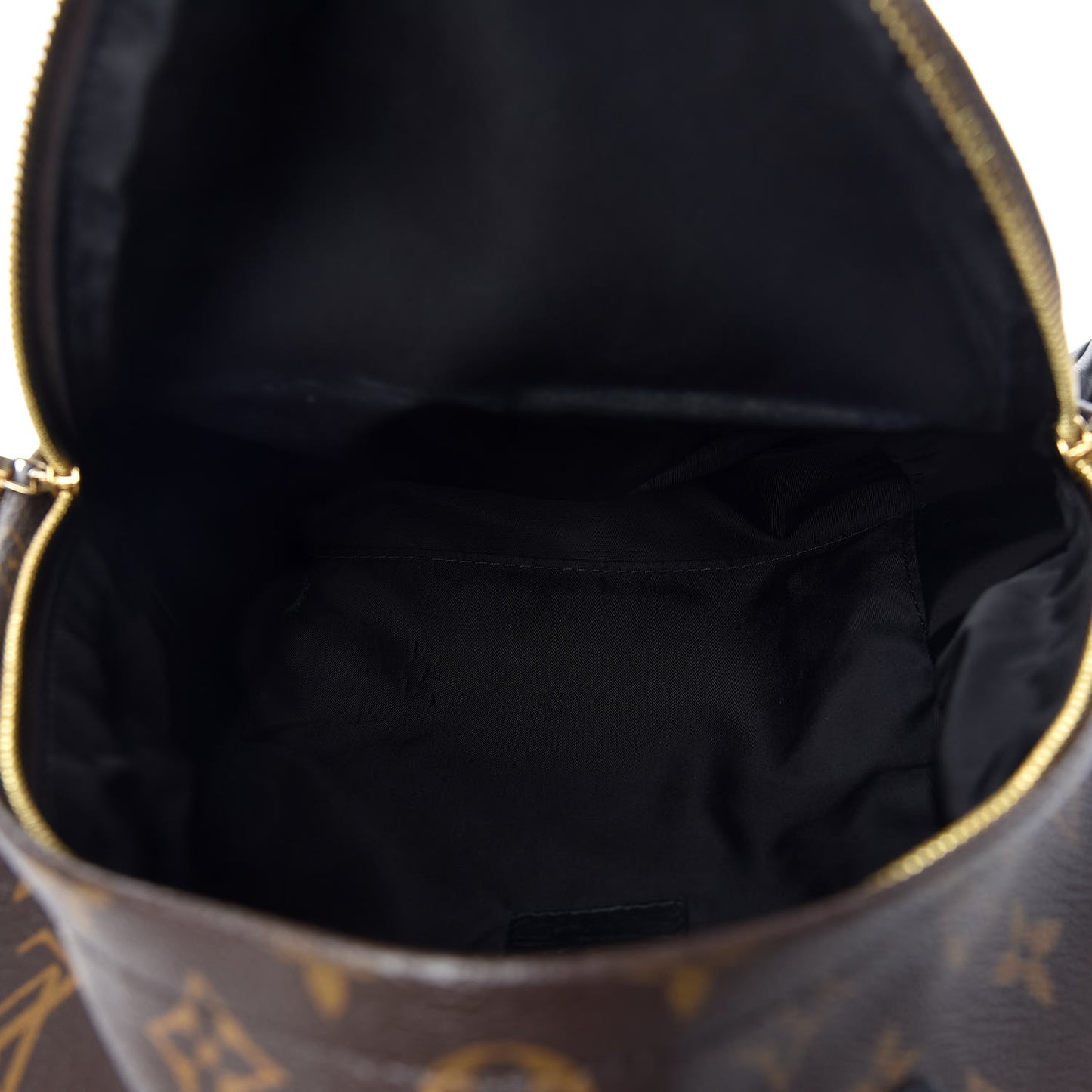 Monogram Palm Springs Backpack PM